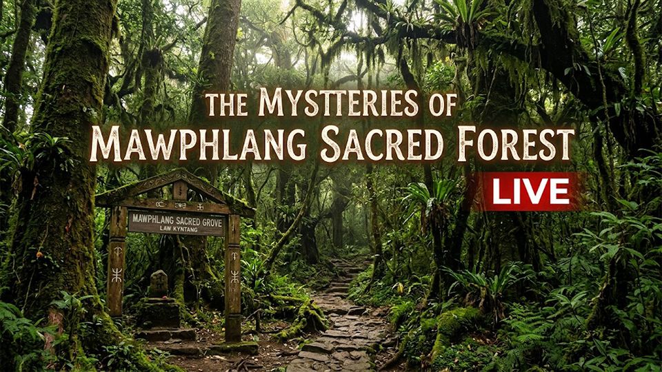 Meghalaya Uncovered: Mysteries of the Mawphlang Forest